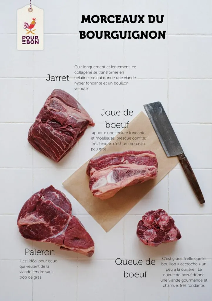 Bourguignon quel viande : comment choisir la bonne pièce pour un ragoût fondant